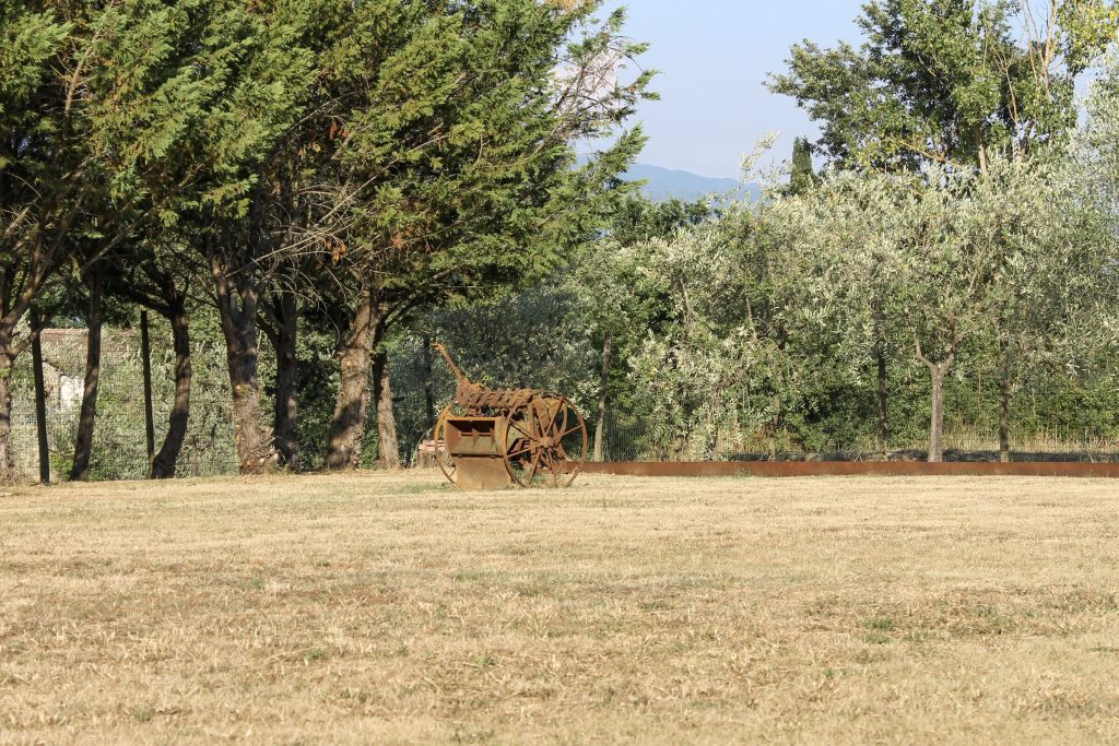 Il parco della Magione di Loppiano