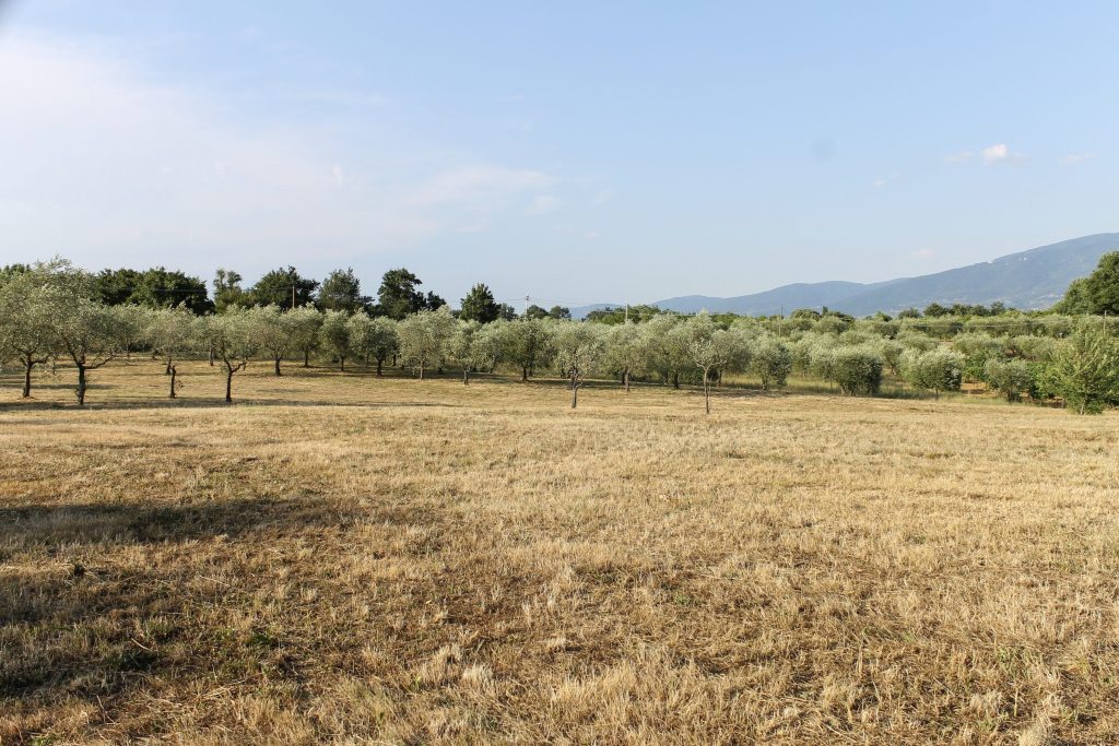 Il paesaggio del Valdarno Superiore