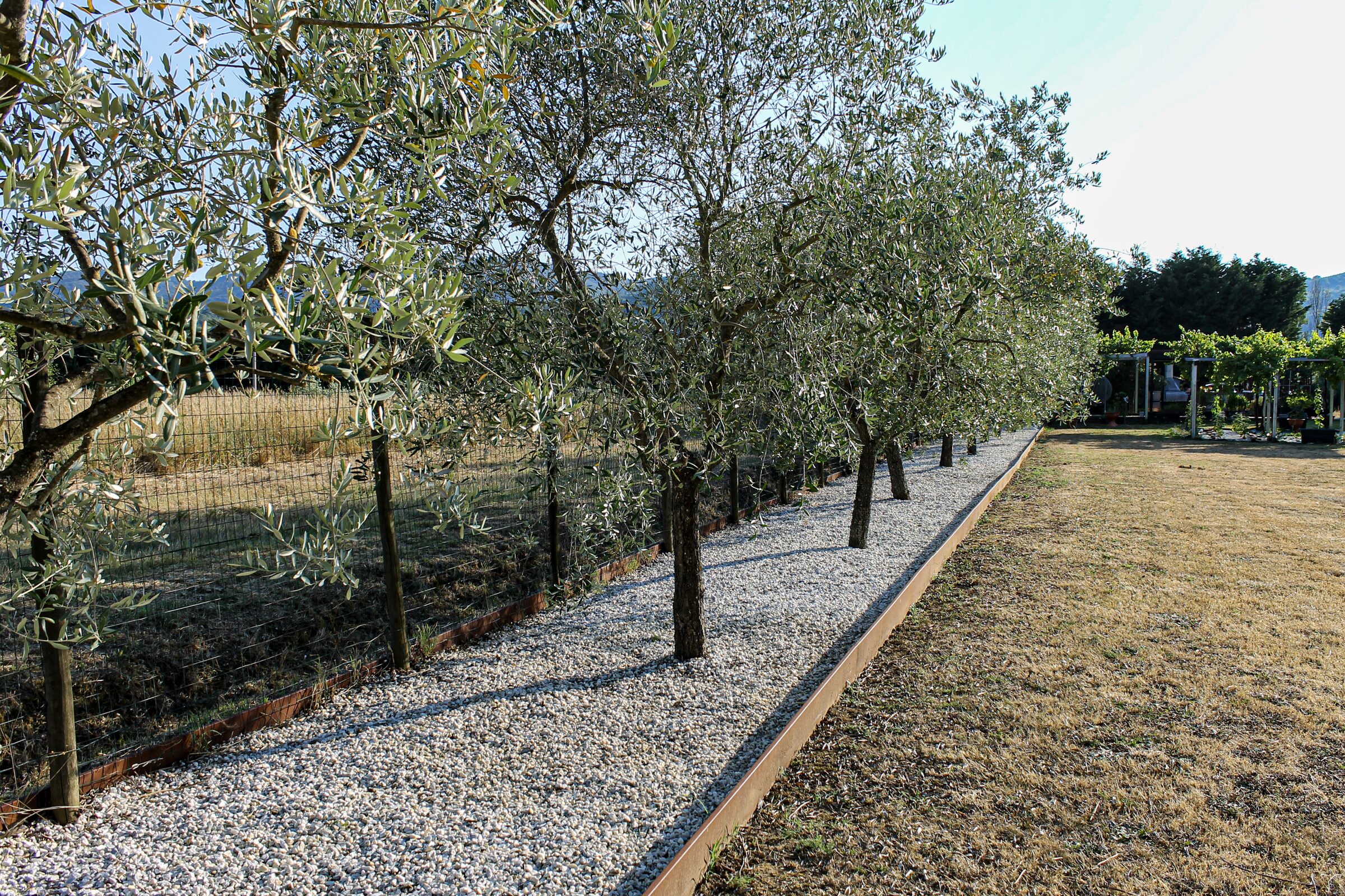 Il viale di accesso al podere della Magione